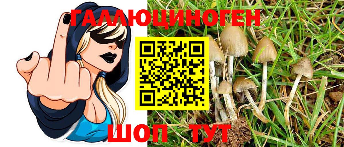 Псилоцибиновые грибы Psilocybine cubensis Усть-Илимск